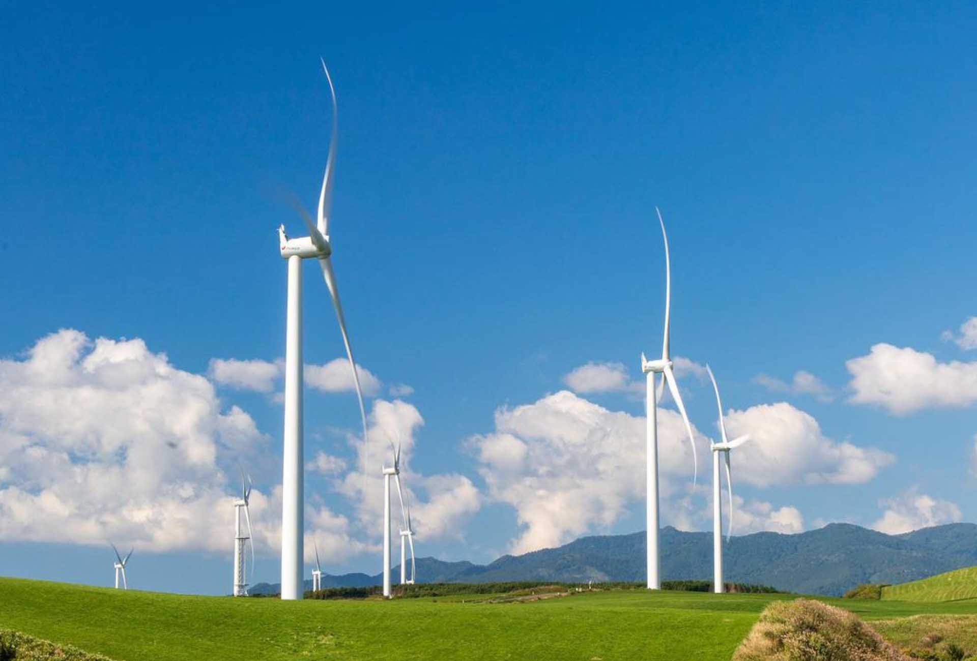 元気よく回る風車